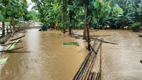 বন্যায় প্রাণহানি বেড়ে ৪৪, পানিবন্দি ২ লাখের বেশি পরিবার