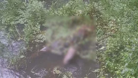 নিখোঁজের ২ দিন পর ডোবা থেকে যুবকের মরদেহ উদ্ধার