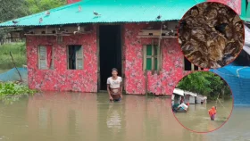 ভারী বর্ষণে চরফ্যাশনে জনজীবন বিপর্যস্ত