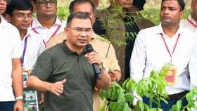 শিশুর মতোই গাছের পরিচর্যা করতে হবে: প্রধানমন্ত্রী