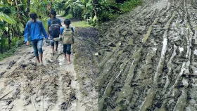 নগরকান্দায় গ্রামীণ সড়কে হাঁটু সমান কাঁদা-পানিতে জনদুর্ভোগ