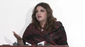 আত্মসমর্পণের সুযোগ নেই শেখ হাসিনার, দেশে ফিরলেই গ্রেপ্তার: পররাষ্ট্র প্রতিমন্ত্রী