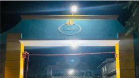 নৌকাভ্রমণে গিয়ে মির্জাপুরে বিদ্যুৎস্পৃষ্টে ২ যুবকের মৃত্যু