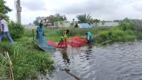 সাতক্ষীরায় জলাবদ্ধতা নিরসনে খালের নেট-পাটা অপসারণ