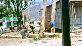 উলিপুরে ইউপি চেয়ারম্যানের বিরুদ্ধে সরকারি গাছ কাটার অভিযোগ