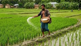 খাদ্য উৎপাদনে বড় ঝুঁকির মুখে বাংলাদেশ