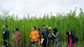 দৌলতপুর সীমান্তে ৮জনকে বিএসএফের পুশইন চেষ্টা