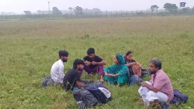 মহেশপুর সীমান্তে ৬ জনকে পুশইনের চেষ্টা