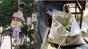 গাংনীতে এনসিপির সমাবেশস্থলে বোমাসদৃশ বস্তু  উদ্ধার