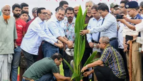 বৃক্ষরোপণের বড় চ্যালেঞ্জ পরিচর্যা নিশ্চিত করা: তথ্যমন্ত্রী