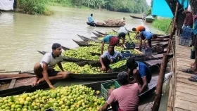 ভাসমান পেয়ারার হাটে ডিজে ও উচ্চস্বরে গান বাজানোতে কঠোর নির্দেশনা