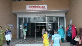 গোপালগঞ্জে সড়ক দুর্ঘটনায় কিশোর নিহত