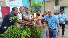 ঝিনাইদহের পরিবেশের ভারসাম্য রক্ষায় গাছের চারা বিতরণ