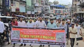 চাঁদা না পেয়ে পেঁপে বাগান ধ্বংস, জড়িতদের গ্রেপ্তারের দাবি