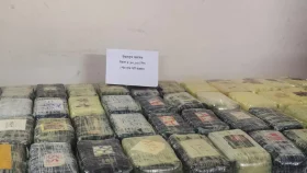 সাড়ে ৫ লাখ ইয়াবাসহ মিয়ানমারের দুই নাগরিক আটক
