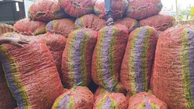 হিলি স্থলবন্দর দিয়ে এলো ভারতীয় কাঁচা মরিচ