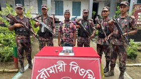 জামালপুরে বিজিবির পৃথক অভিযানে ইয়াবা ও মদ জব্দ, আটক ১