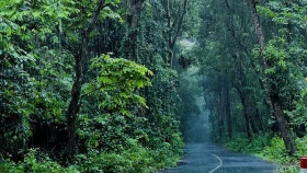 বৃষ্টিভেজা গারো পাহাড় ঘুরতে আসার এখনই সময়