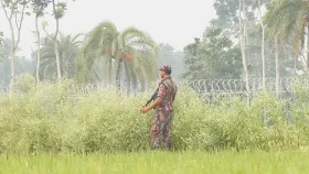 মহেশপুর সীমান্তে বিএসএফের রাবার বুলেটে যুবক আহত