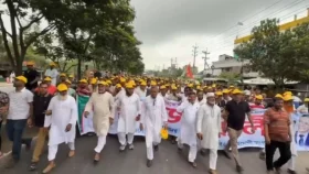নিজেদের মধ্যে যেন ফ্যাসিবাদের পুনরুত্থান না হয় : এমপি বাচ্চু