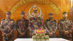 সীমান্ত এলাকায় ৯০ হাজার ইয়াবা জব্দ