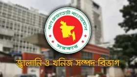 জ্বালানি তেল আমদানিতে বিশেষ সুবিধা দেওয়ার সুযোগ নেই: জ্বালানি বিভাগ