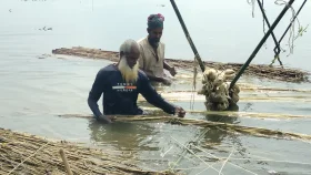 পাটের বাম্পর ফলনে কৃষকের মুখে হাসি