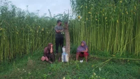 সীমান্তে বিএসএফের পুশইন চেষ্টা প্রতিহত করলো বিজিবি