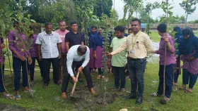 পরিবেশ রক্ষায় সাতক্ষীরায় শিক্ষার্থীদের ৫ হাজার বৃক্ষরোপণ