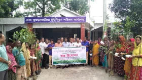 কুমড়াবাড়িয়ায় বৃক্ষরোপণ কর্মসূচির উদ্বোধন