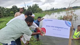মেলান্দহের জলাশয়ে মাছের পোনা অবমুক্তকরণ