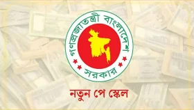 নবম পে-স্কেলের খসড়া চূড়ান্ত, মন্ত্রিসভায় উঠছে প্রস্তাব
