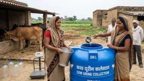 ভারতে গোমূত্র কেনা শুরু, প্রতি লিটার ১০ রুপি