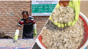 ফেলে দেওয়া মাছের আঁইশ থেকে নতুন সম্ভাবনা