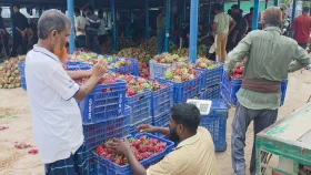মহেশপুরে অবৈধ হাট বসিয়ে লাখ লাখ টাকা চাঁদাবাজির অভিযোগ