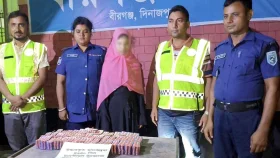 সাড়ে ৪ হাজার পিস ট্যাপেন্টাডল জব্দ, নারী আটক
