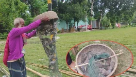 মুক্ত আকাশে উড়ে গেলো শিকার করা অর্ধশতাধিক ঘুঘু পাখি