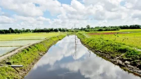 তিন খাল পুনঃখননে কৃষিতে ফিরেছে প্রাণ