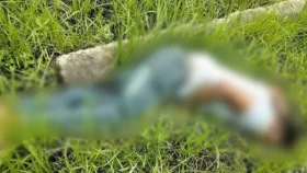 চলন্ত ট্রেনের ছাদে দুই ভাইকে কুপালো ছিনতাইকারী, নিহত ১
