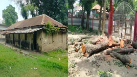টেন্ডার ছাড়াই স্কুলের গাছ ও ভবন বিক্রির অভিযোগ