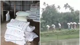 ডিলার না আসায় গুদামের দরজা ভেঙে সার নিলেন কৃষকরা