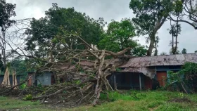 ৩ মাসেও সরেনি বিদ্যালয়ের ভবনের ওপর ভেঙে পড়া ডাল