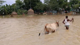পাহাড়ি ঢলে আখাউড়ার নিম্নাঞ্চলে বাড়ছে পানি