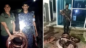 তাপবিদ্যুৎ কেন্দ্রে তার চুরির চেষ্টা ব্যর্থ করলো আনসার