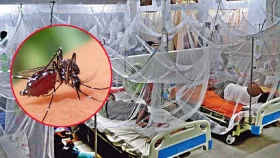 ডেঙ্গুতে একদিনে আক্রান্ত ৫৫০