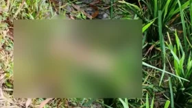 ধানখেত থেকে বিচ্ছিন্ন পা উদ্ধার