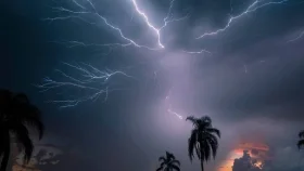 মহিষাসুরা হাওরে বজ্রপাতে জেলের মৃত্যু, আহত তিন