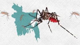 ২৪ ঘন্টায় ডেঙ্গুতে ২ জনের মৃত্যু, ভর্তি ৯৯৬