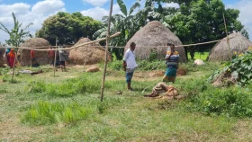 টাঙ্গাইলে পরিত্যক্ত বাড়িতে ১০টি ঘোড়া জবাই
