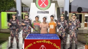 টেকনাফে বিপুল পরিমাণ ইয়াবাসহ আটক ৩